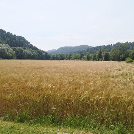 Willa Hiska Zeleni Raj Podnart Zewnętrze zdjęcie
