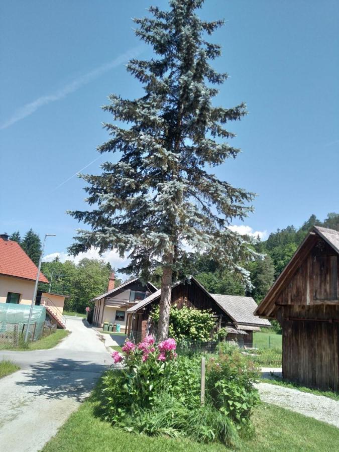 Willa Hiska Zeleni Raj Podnart Zewnętrze zdjęcie
