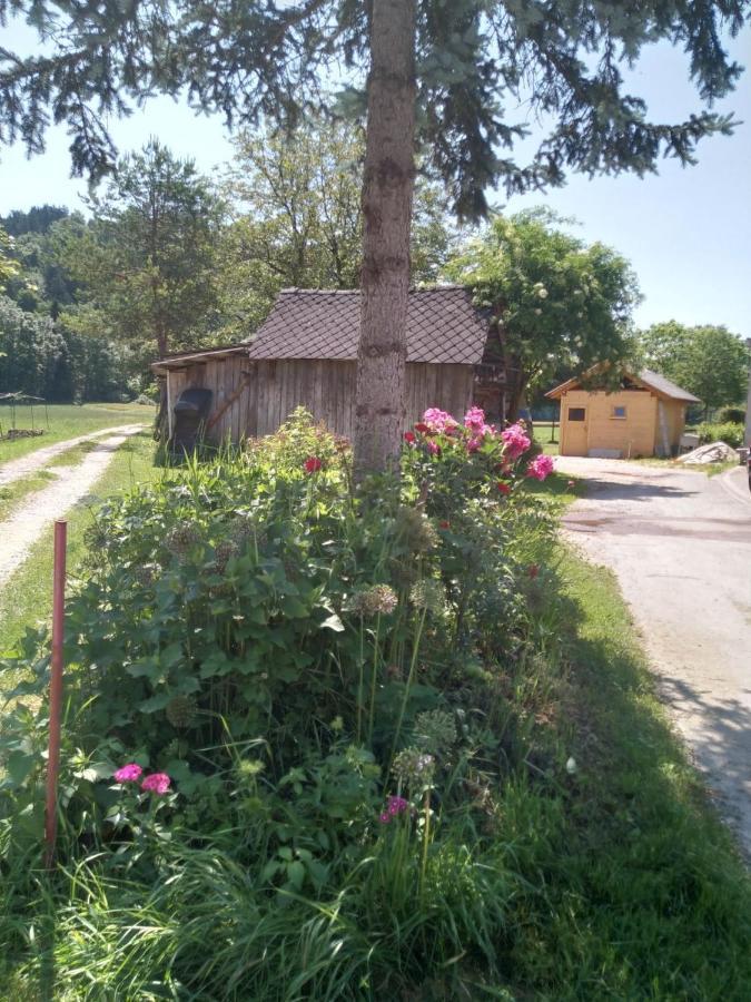 Willa Hiska Zeleni Raj Podnart Zewnętrze zdjęcie